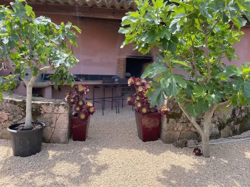 Les tablées et le barbecue — Casa Pugliesi