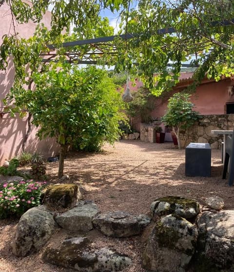 Le jardin et les abords — Casa Pugliesi
