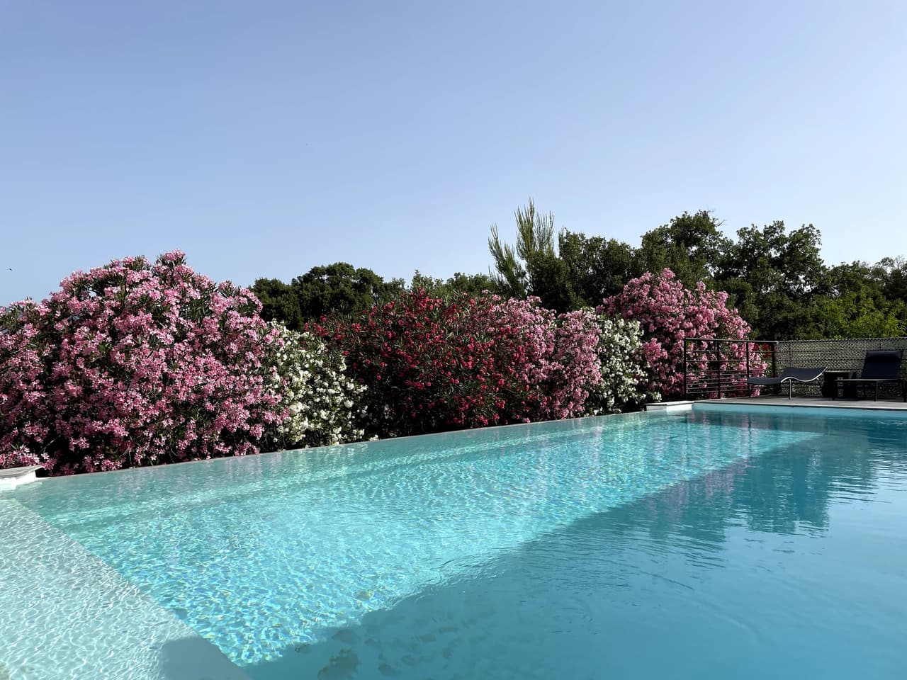 La piscine